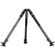 imageUrl_6