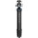 imageUrl_5