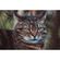 imageUrl_6