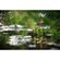 imageUrl_8