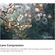 imageUrl_10