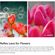 imageUrl_7