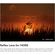 imageUrl_8
