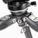imageUrl_9