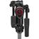 imageUrl_7