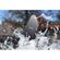 imageUrl_9