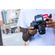 imageUrl_9