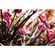 imageUrl_7