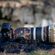 imageUrl_7