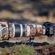 imageUrl_5