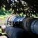 imageUrl_4