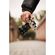 imageUrl_9