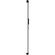 imageUrl_6