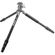 imageUrl_3