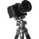 imageUrl_5