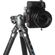 imageUrl_9
