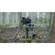 imageUrl_9