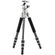 imageUrl_2