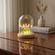 imageUrl_2