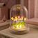 imageUrl_3