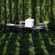 imageUrl_4