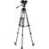 imageUrl_10