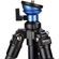 imageUrl_6