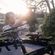 imageUrl_8