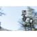 imageUrl_9