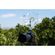 imageUrl_6