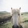 imageUrl_10