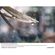 imageUrl_7