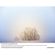 imageUrl_10