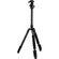 imageUrl_6