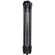 imageUrl_5