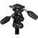 imageUrl_7