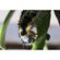 imageUrl_9
