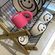 imageUrl_6