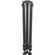 imageUrl_3