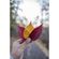imageUrl_4