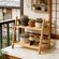imageUrl_2