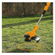 imageUrl_8