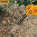 imageUrl_6