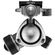 imageUrl_5