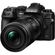 imageUrl_10