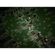 imageUrl_7