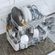imageUrl_4