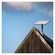 imageUrl_8