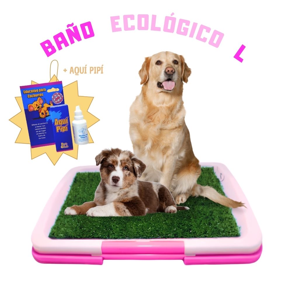 Baño CÉSPED para Mascotas L Y Educador Sanitario AQUÍ PIPÍ
