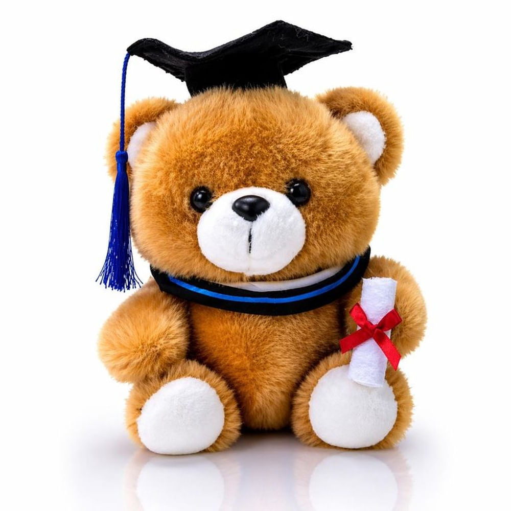 Oso de Peluche Graduación 23 cm con Diploma Peluche Premium Suave - Regalo Especial